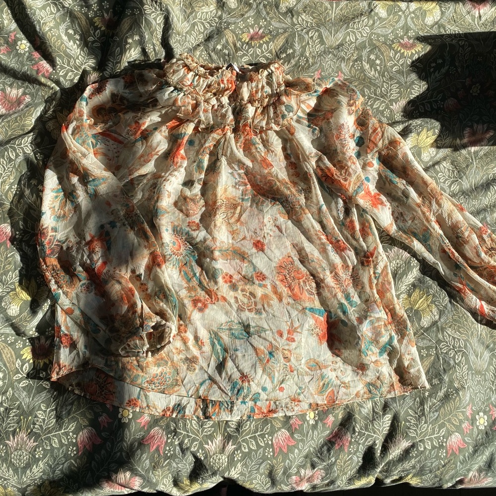 Zara Sheer Floral Ruffle Blouse - Picture 9 of 16